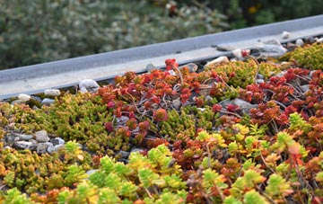 the cost of Cuddy Hill green roof installation