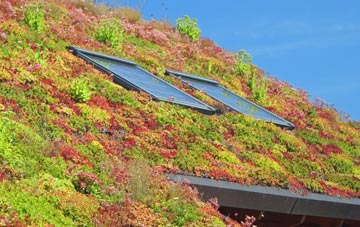 Cuddy Hill living roof systems