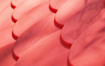 Cuddy Hill plastic roof costs